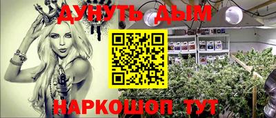 тгк Новокубанск