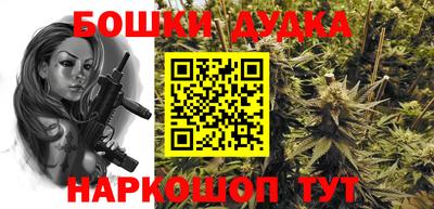 тгк Новозыбков